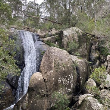 Cancellation Policy Cancellation Policy